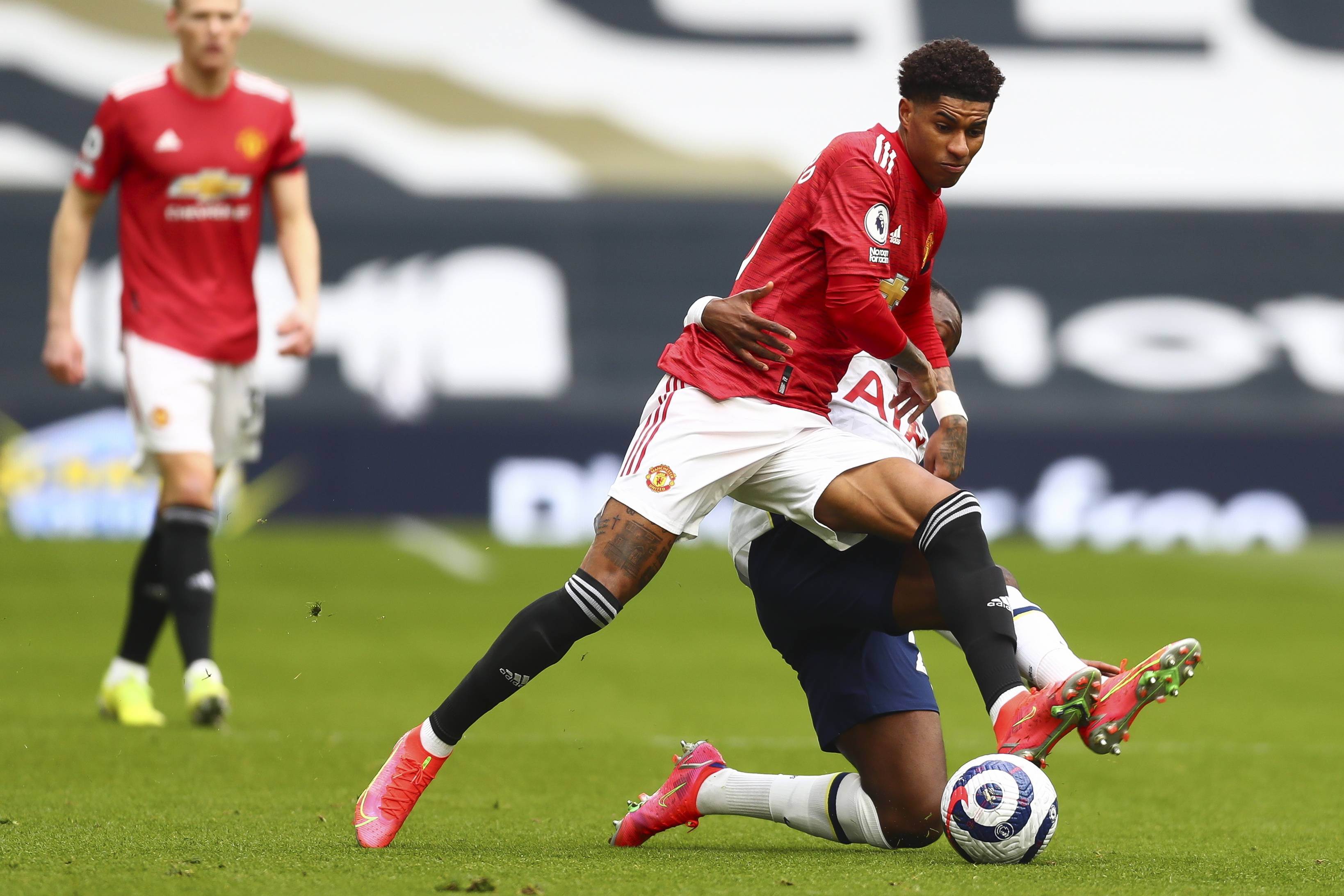 马莱莱的未 马莱莱的未